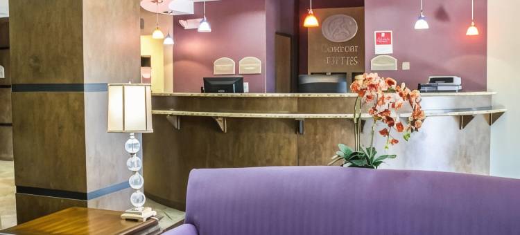 舒适套房酒店(Comfort Suites)图片
