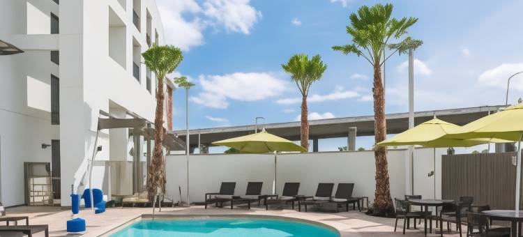 希尔顿欢朋套房酒店-纳帕(Hampton Inn & Suites Napa)图片