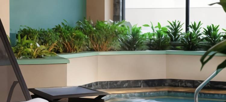 休斯顿希尔顿安泊套房酒店-近加勒里亚(Embassy Suites by Hilton Houston Near the Galleria)图片