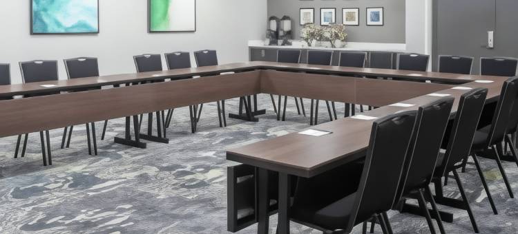 兰辛伊斯特伍德Homewood Suites by Hilton(Homewood Suites by Hilton Lansing Eastwood)图片