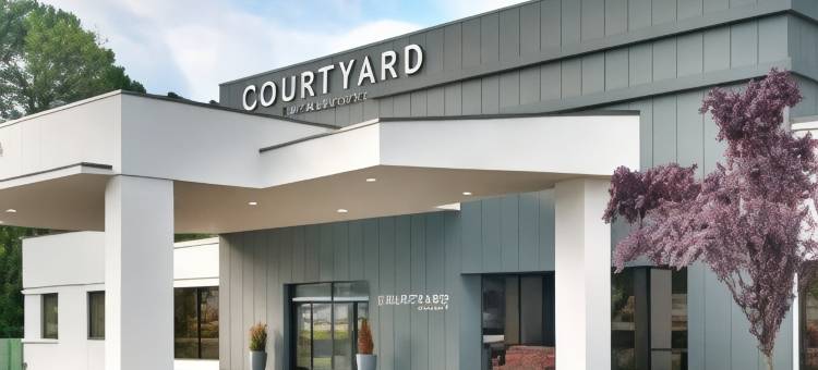 夏洛特机场/比利格雷厄姆大道万怡酒店(Courtyard Charlotte Airport LoSo)图片