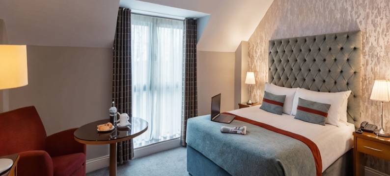 拉辛伍兹酒店(Raheen Woods Hotel)图片