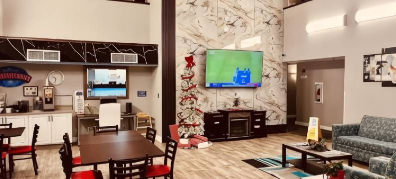 斯旺顿温德姆呗盟酒店(Baymont Inn & Suites by Wyndham Swanton/Toledo Airport)图片