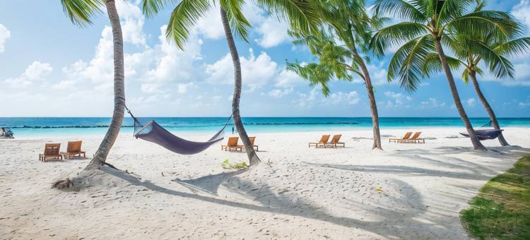 皇家巴巴多斯全包度假村 - 仅限情侣(Sandals Royal Barbados All Inclusive - Couples Only)图片