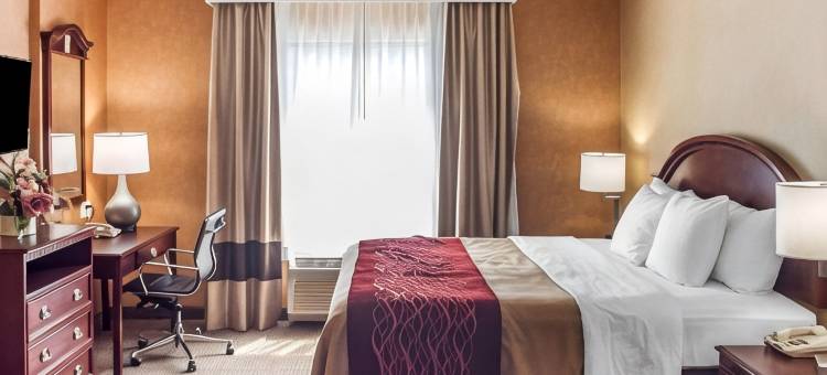 沃尔登广场购物中心附近凯艺酒店(Quality Inn Near Walden Galleria Mall)图片