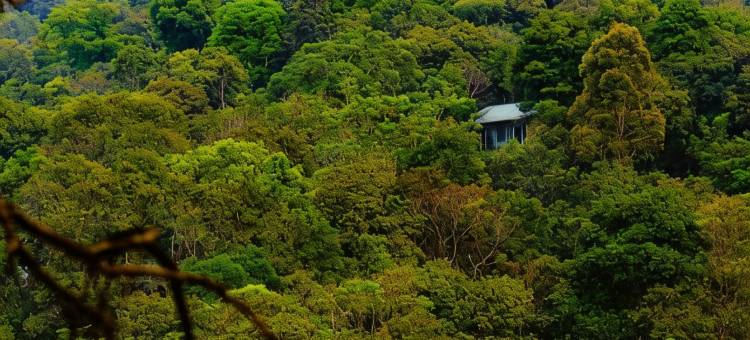 Wayanad Wild- CGH Earth图片