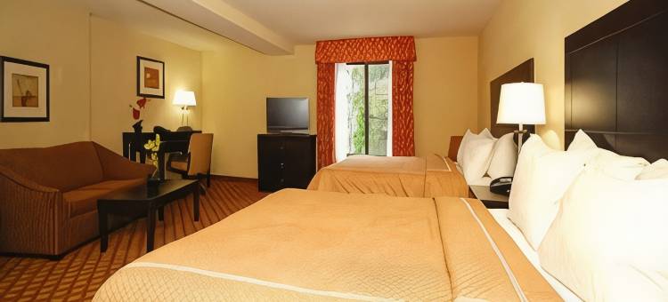 哥伦比亚东北-杰克逊堡舒适套房酒店(Comfort Suites Columbia Northeast - Fort Jackson)图片
