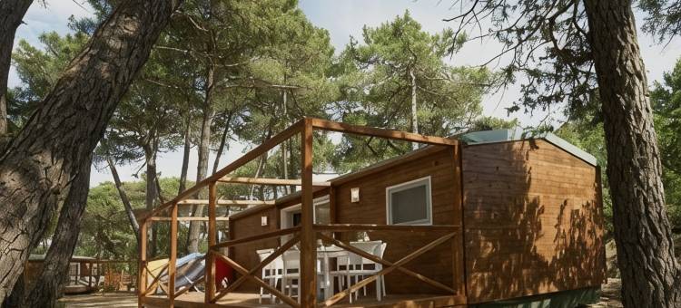 蓬塔拉露营度假村(PuntAla Camp & Resort)图片