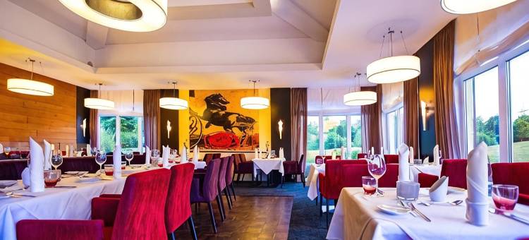 西格股份有限公司古特汉肯霍夫高尔夫度假酒店(Gut Heckenhof Hotel & Golfresort an der Sieg Gmbh & Co. KG)图片