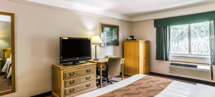 舒适酒店(Quality Inn)图片