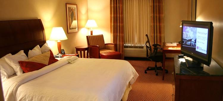 伊利希尔顿花园酒店(Hilton Garden Inn Erie)图片