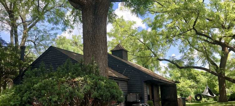 温馨设计小屋纽约私人历史庄园内乡村民宿-都市绿洲(Cozy Designer Cottage on Private Historic Estate-Near NYC-Oasis in Metropolis)图片