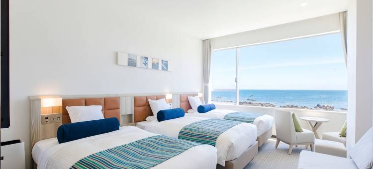 白滨海洋温泉度假酒店(Shirahama Ocean Resort)图片