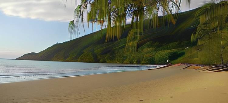 戴恩特里雨林度假汽车旅馆(Daintree Rainforest Retreat Motel)图片