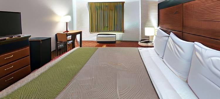 德克萨斯恩尼斯 6 号汽车旅馆(Motel 6 Ennis, TX)图片