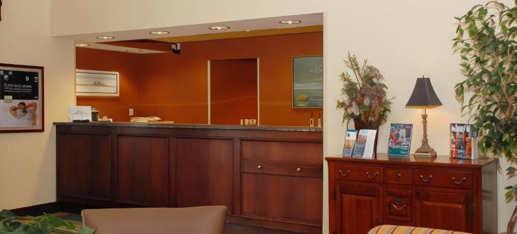 圣何塞希尔顿逸林酒店(DoubleTree by Hilton San Jose)图片