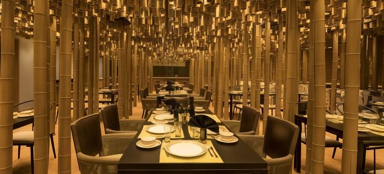 萨亚锡拉杰克特酒店(Sayaji Rajkot)图片