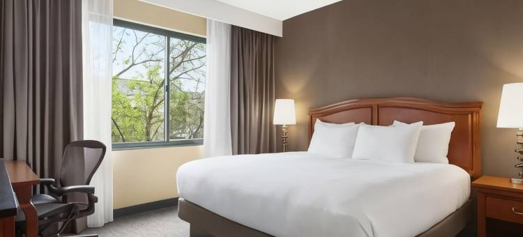 底特律诺维希尔顿逸林酒店(DoubleTree by Hilton Detroit Novi)图片