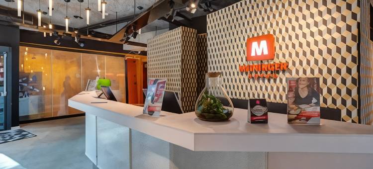 布鲁塞尔南站梅宁阁酒店(Meininger Hotel Bruxelles Gare du Midi)图片