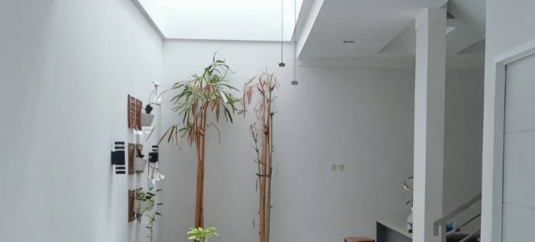 奥马保兰旅馆(Omah Paulan Guest House)图片