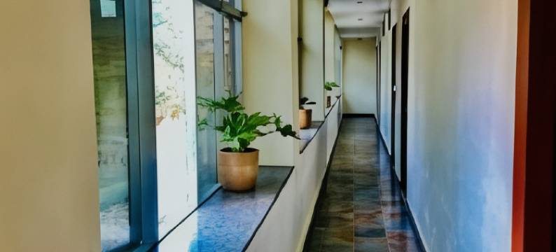 Suryadev酒店(Hotel Suryadev)图片