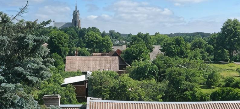 萨勒克旅馆(Salako svečių Namai)图片