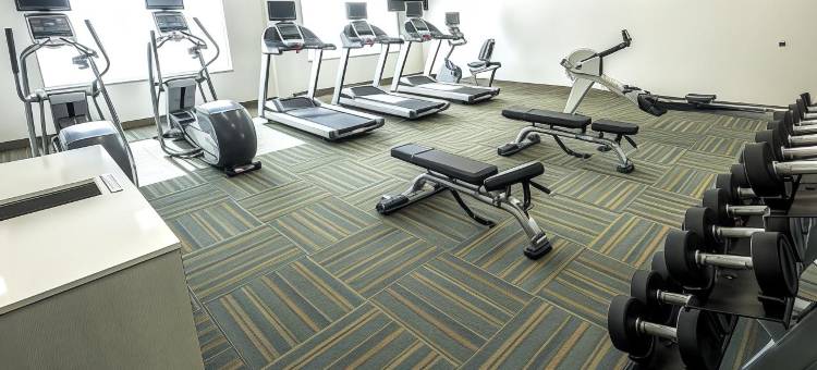 科默斯智选假日套房酒店(Holiday Inn Express & Suites Commerce)图片