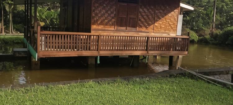 唐卡汉绿色小屋(Green Lodge Tangkahan)图片