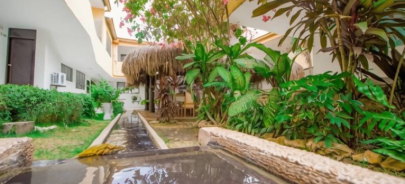 安科酒店(Hotel Ancor)图片