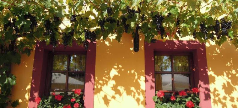 兰德加斯霍夫梅伊(Landgasthof May)图片