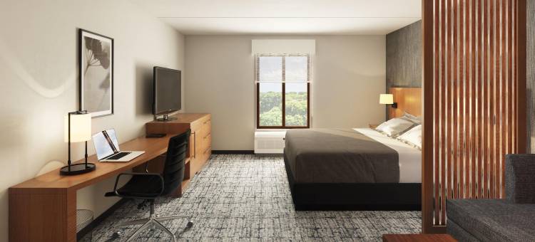 波士顿/布伦特里凯悦嘉轩酒店(Hyatt Place Boston/Braintree)图片