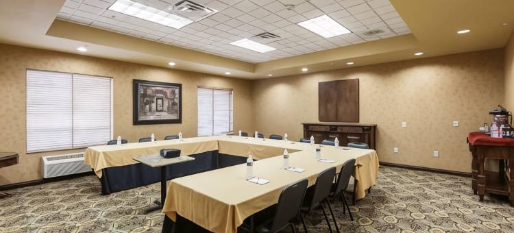 舒适套房酒店-阿拉莫/河滨步道(Comfort Suites Alamo Riverwalk)图片