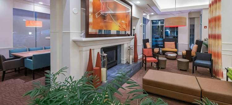 塔拉哈西中央希尔顿花园酒店(Hilton Garden Inn Tallahassee Central)图片