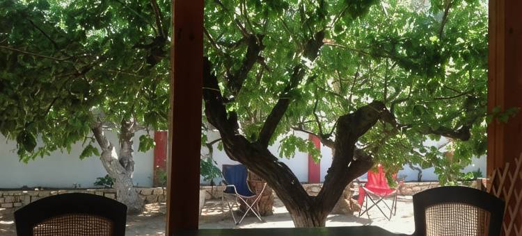 佩特拉海滩度假村(Hotel Petras Beach)图片