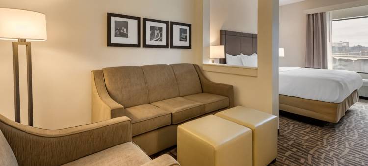 匹兹堡北岸舒适套房酒店(Comfort Inn & Suites Pittsburgh-Northshore)图片