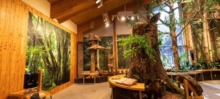 亚库马拉石卡索酒店(Kyukamura Shikotsuko)图片