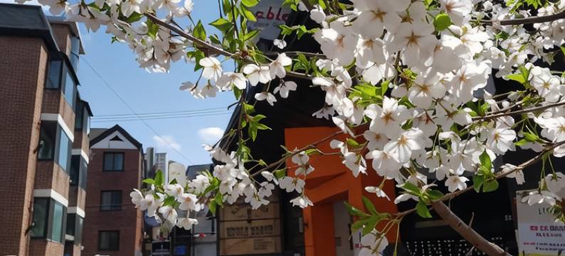 弘大爱博宾馆(Able Guesthouse Hongdae)图片