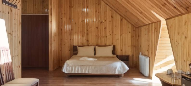 金星酒店(Gold Star Hotel)图片