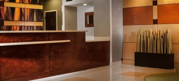 达拉斯沃斯堡国际机场北部／葡萄藤万豪SpringHill酒店(SpringHill Suites Dallas DFW Airport North/Grapevine)图片