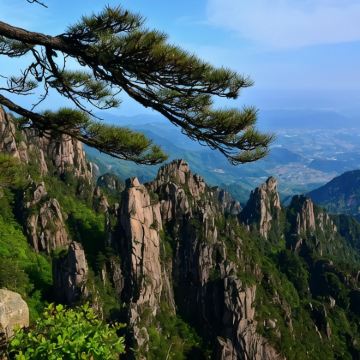 黄山+婺源篁岭景区+宏村5日4晚私家团