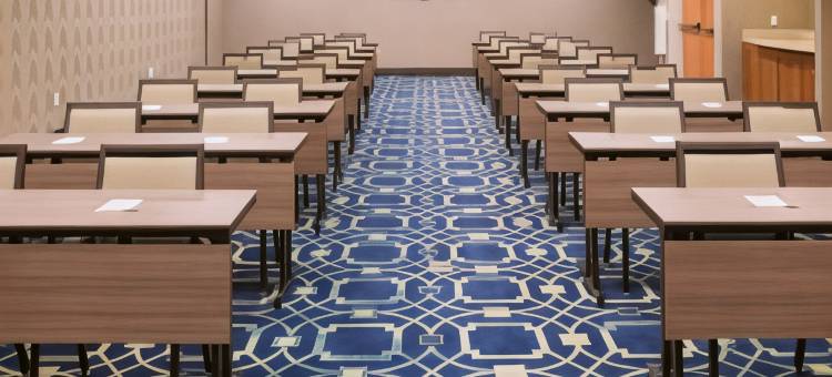 兰辛东欢朋酒店及套房(Hampton Inn & Suites East Lansing/Okemos)图片