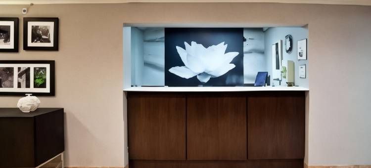 克利夫兰马其顿拉昆塔温德姆套房酒店(La Quinta Inn & Suites by Wyndham Cleveland Macedonia)图片