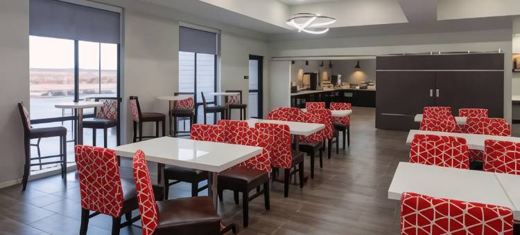 温德姆拉昆塔科勒尔维尔爱荷华市酒店及套房(La Quinta Inn & Suites by Wyndham Coralville Iowa City)图片