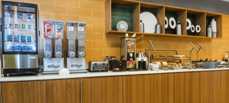 万豪圣安东尼奥海洋世界®/拉克兰万豪SpringHill酒店(SpringHill Suites by Marriott San Antonio SeaWorld®/Lackland)图片