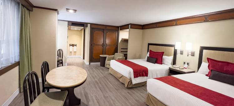 埃克阿拉米达雷福马酒店(Exe Alameda Reforma)图片