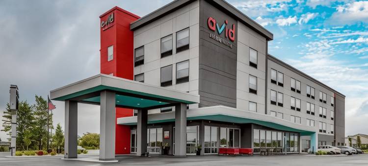 布鲁克林戴克高地avid酒店-洲际酒店集团旗下(Avid Hotel Brooklyn - Dyker Heights)图片