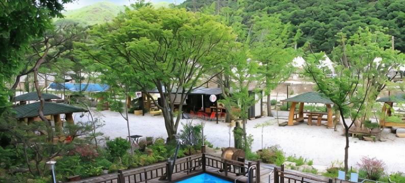 Wanju Wild Flower Pension图片