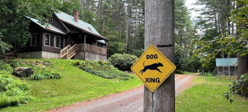 Awesome House in Kennebec Valley. Dog Friendly! Outdoor Fun! w-Wifi!图片