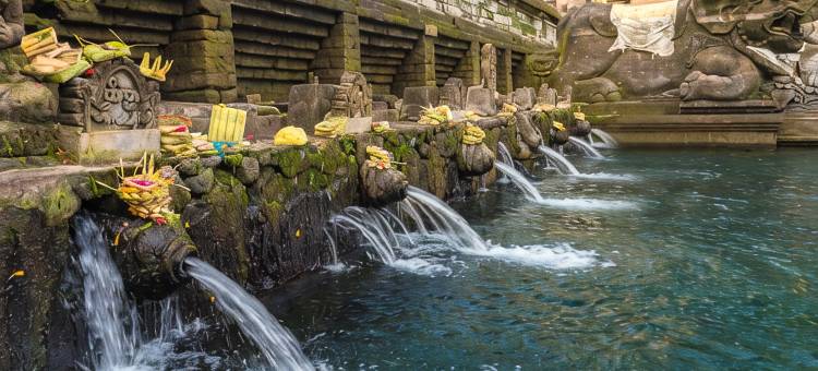 晟诗度假酒店及水疗与会议中心，世尊系列(Sens Hotel  Spa + Conference Ubud Town Centre)图片