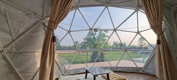 SB 旅馆(SB Inn)图片